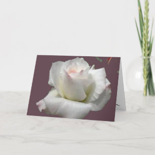 Carte de voeux Rose Passion blanche