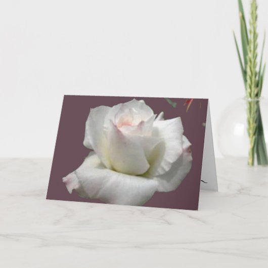 Carte de voeux Rose Passion blanche (Devant)