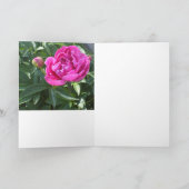 Carte de voeux Rose Pink Peony *Personnaliser* (Intérieur)