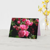 carte de voeux rose roses (Fleur jaune)