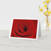 Carte de vœux Rose Rouge (Fleur jaune)