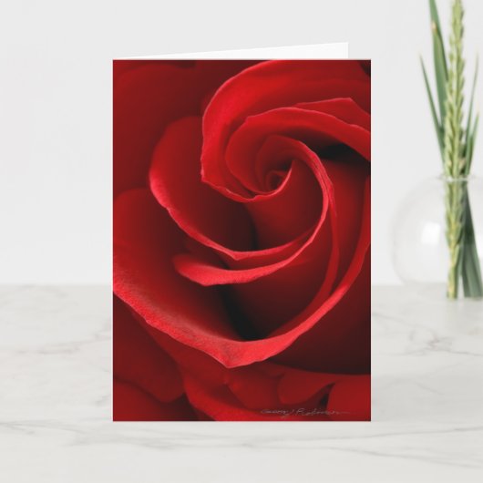 Carte de vœux Rose rouge (Devant)