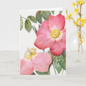 Carte de vœux Rose Rouge Pierre-Joseph Redoute (Fleur jaune)