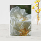 Carte de vœux Roses sauvages blanches douces (Fleur jaune)