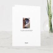 Carte de voeux rouge citron rouillé (Dos)