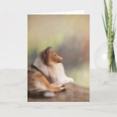 Carte de voeux rugueuse de colley (Devant)