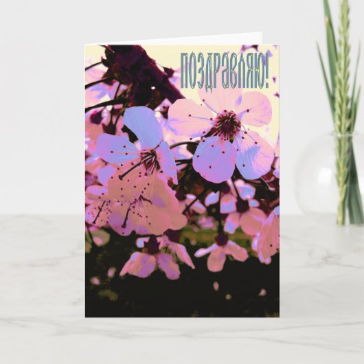 Carte de vœux russe avec fleurs de cerisier (Devant)