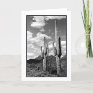 Carte de voeux Saguaro Sentinels