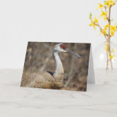 Carte de voeux Sandhill Crane! (Fleur jaune)
