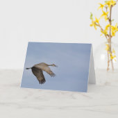Carte de voeux Sandhill Crane (Fleur jaune)