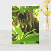 Carte de voeux sauvage de Coati (Fleur jaune)