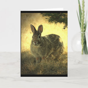 Carte de voeux sauvage de lapins