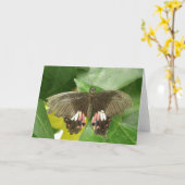 Carte de voeux Scarlet Swallowtail Button (Fleur jaune)