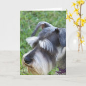 Carte de voeux Schnauzer (Fleur jaune)