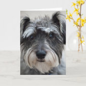 Carte de voeux Schnauzer Chien (Fleur jaune)