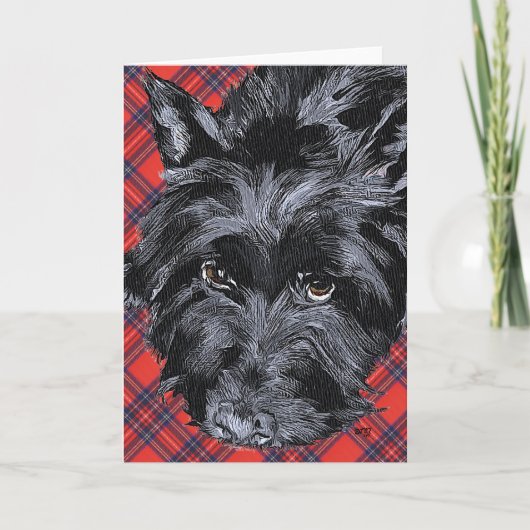 Carte de vœux Scottish Terrier (Devant)