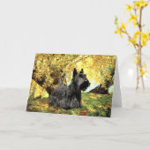 Carte de vœux Scottish Terrier (Fleur jaune)