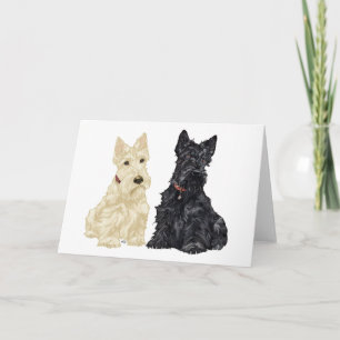 Carte de vœux Scottish Terrier
