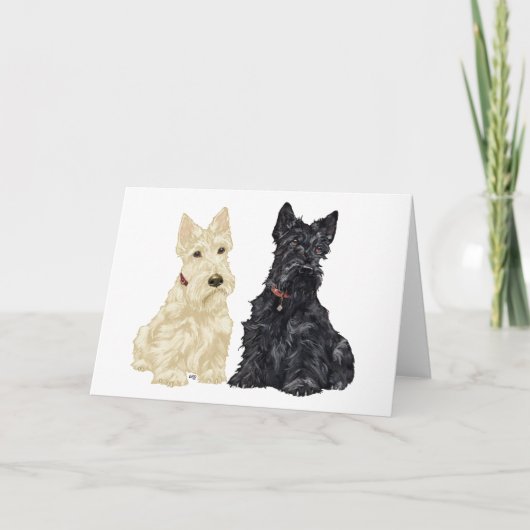 Carte de vœux Scottish Terrier (Devant)