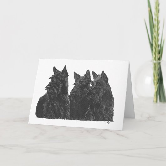 Carte de vœux Scottish Terrier (Devant)