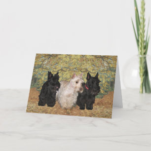 Carte de vœux Scottish Terrier