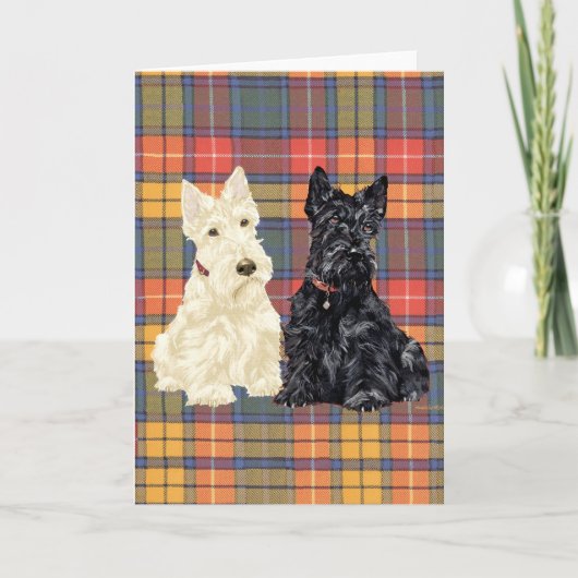 Carte de vœux Scottish Terrier (Devant)