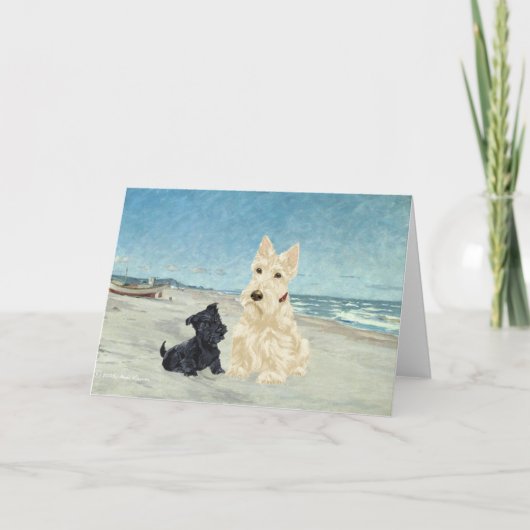 Carte de vœux Scottish Terrier (Devant)