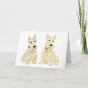 Carte de vœux Scottish Terrier