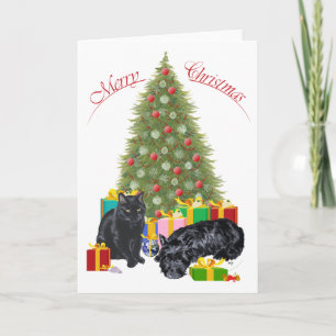 Carte de vœux Scottish Terrier et Kitty