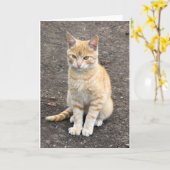 Carte de voeux se reposante de minou (Fleur jaune)