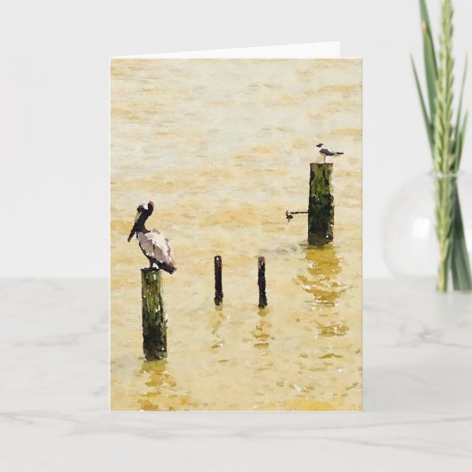 Carte de voeux Seabird Blank (Devant)