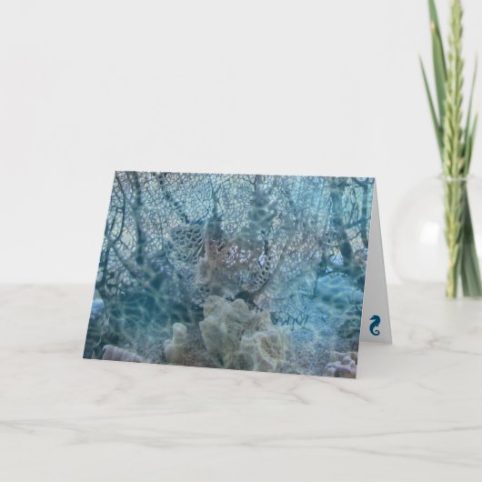 Carte de voeux - Seascape Serenade (Devant)