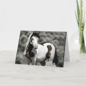 Carte de voeux Shaman pliée (Devant)