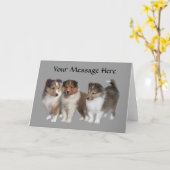 Carte de voeux Sheltie (Fleur jaune)