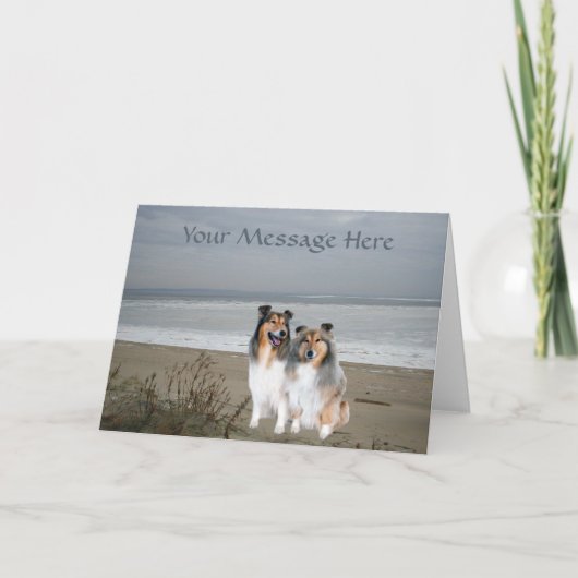 Carte de voeux Sheltie (Devant)