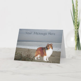 Carte de voeux Sheltie