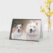 Carte de voeux Sheltie & Samoyed ; support NSR (Fleur jaune)