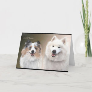 Carte de voeux Sheltie & Samoyed ; support NSR