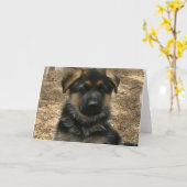 Carte de voeux Shepherd Puppy (Fleur jaune)
