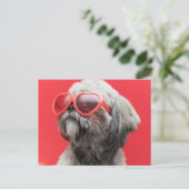 Carte de vœux Shih Tzu (Debout devant)