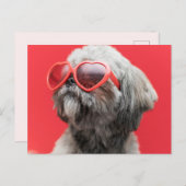 Carte de vœux Shih Tzu (Devant / Derrière)