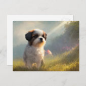 Carte de vœux Shih Tzu (Devant / Derrière)