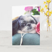 Carte de voeux Shih Tzu Girl Blank (Fleur jaune)