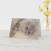 Carte de voeux sibérienne de chat (Fleur jaune)