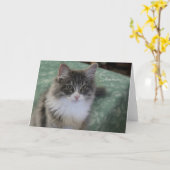 Carte de voeux sibérienne de chat (usage (Fleur jaune)