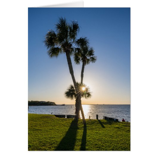 Carte de voeux Silhouette Ciseaux Palm Tree (Devant)