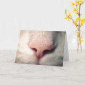 Carte de voeux Silky White Kitty (Fleur jaune)