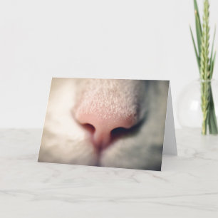 Carte de voeux Silky White Kitty