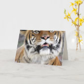 Carte de voeux Silly Tiger (Fleur jaune)