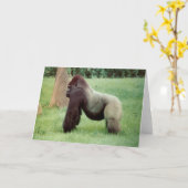 Carte de voeux Silverback Gorilla (Fleur jaune)